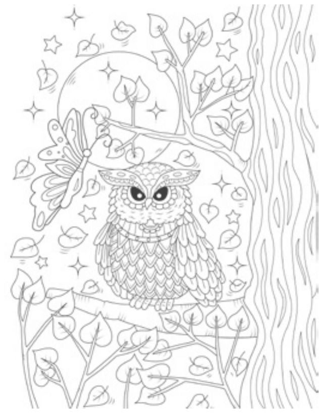 A page inside: an owl on a branch in a moonlit tree